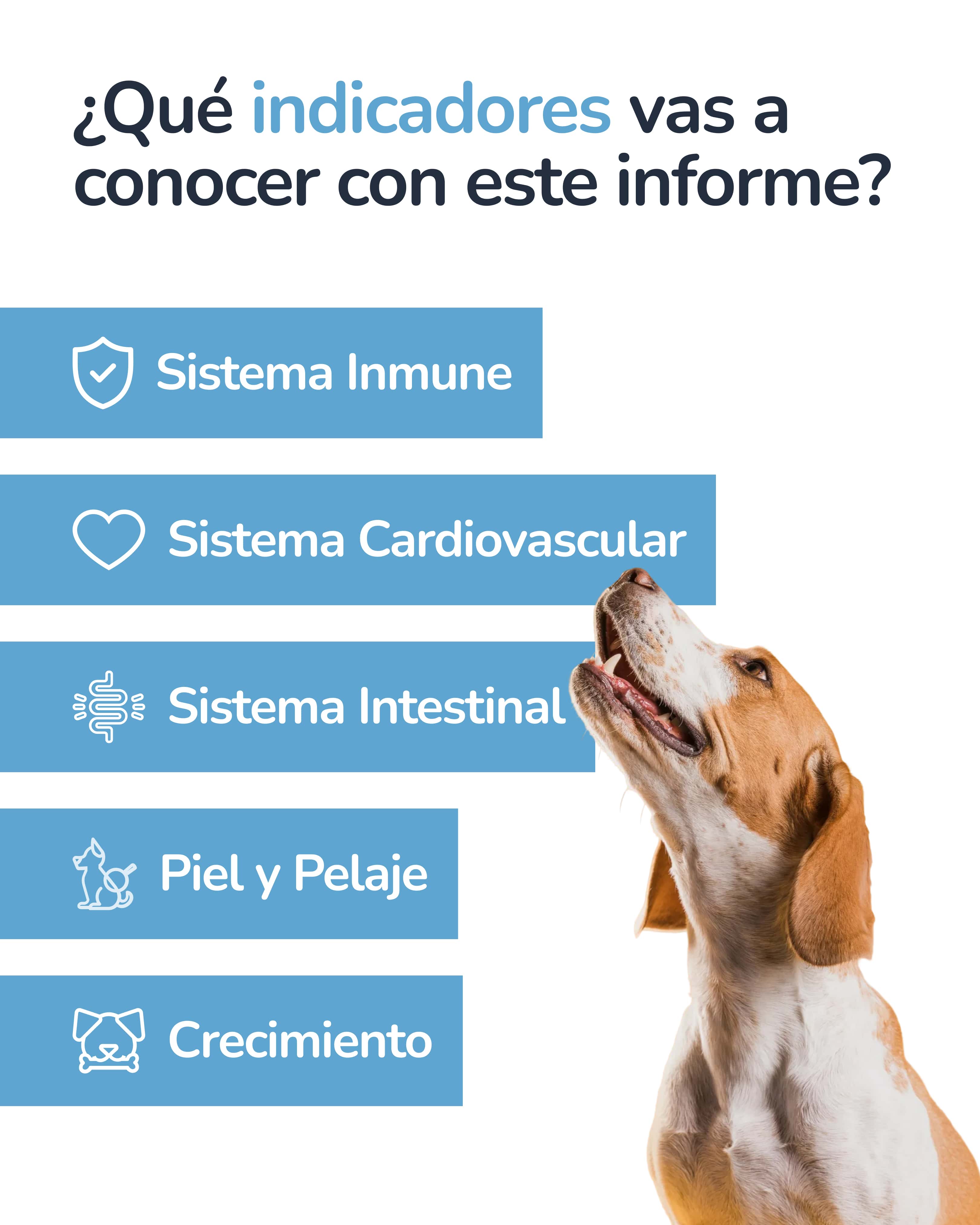 Indicador epigenético canino 2
