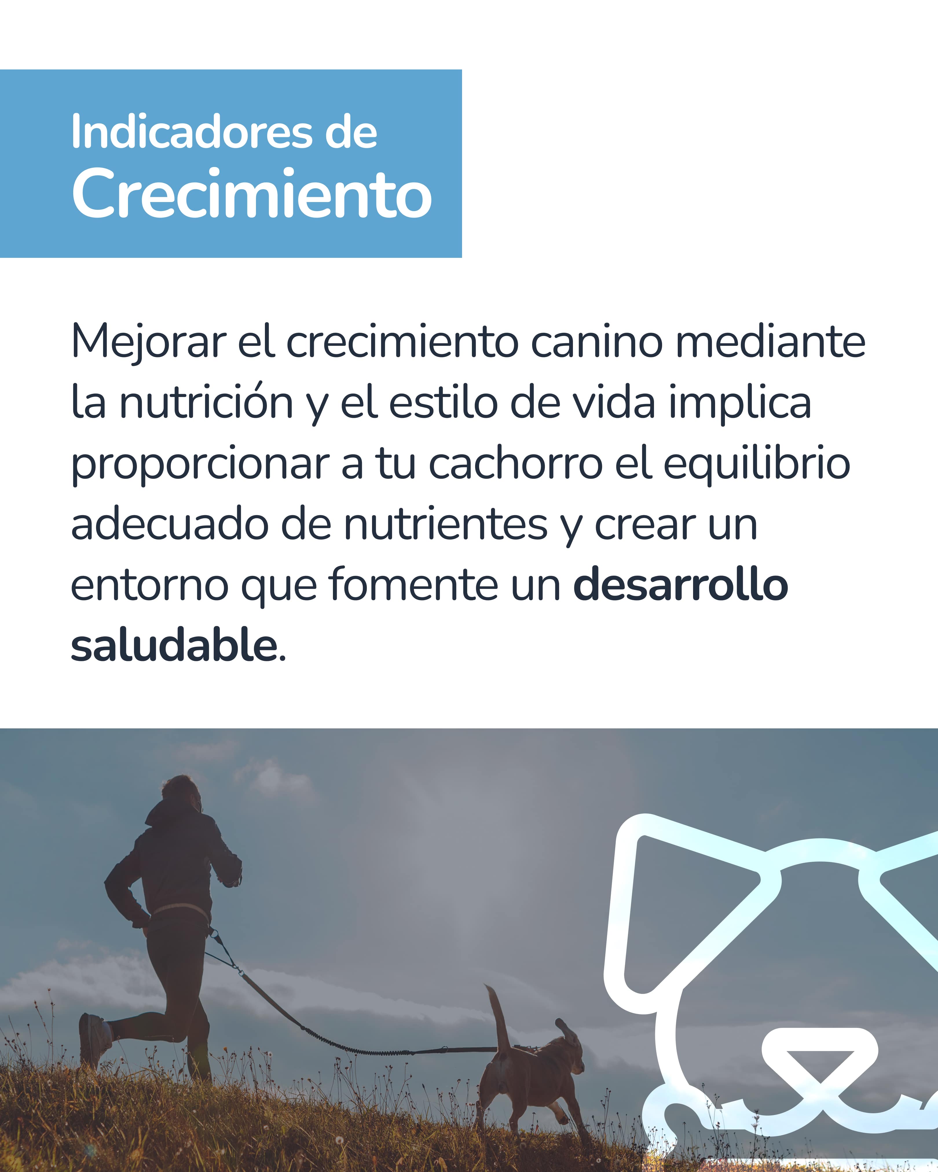 Indicador epigenético canino 7