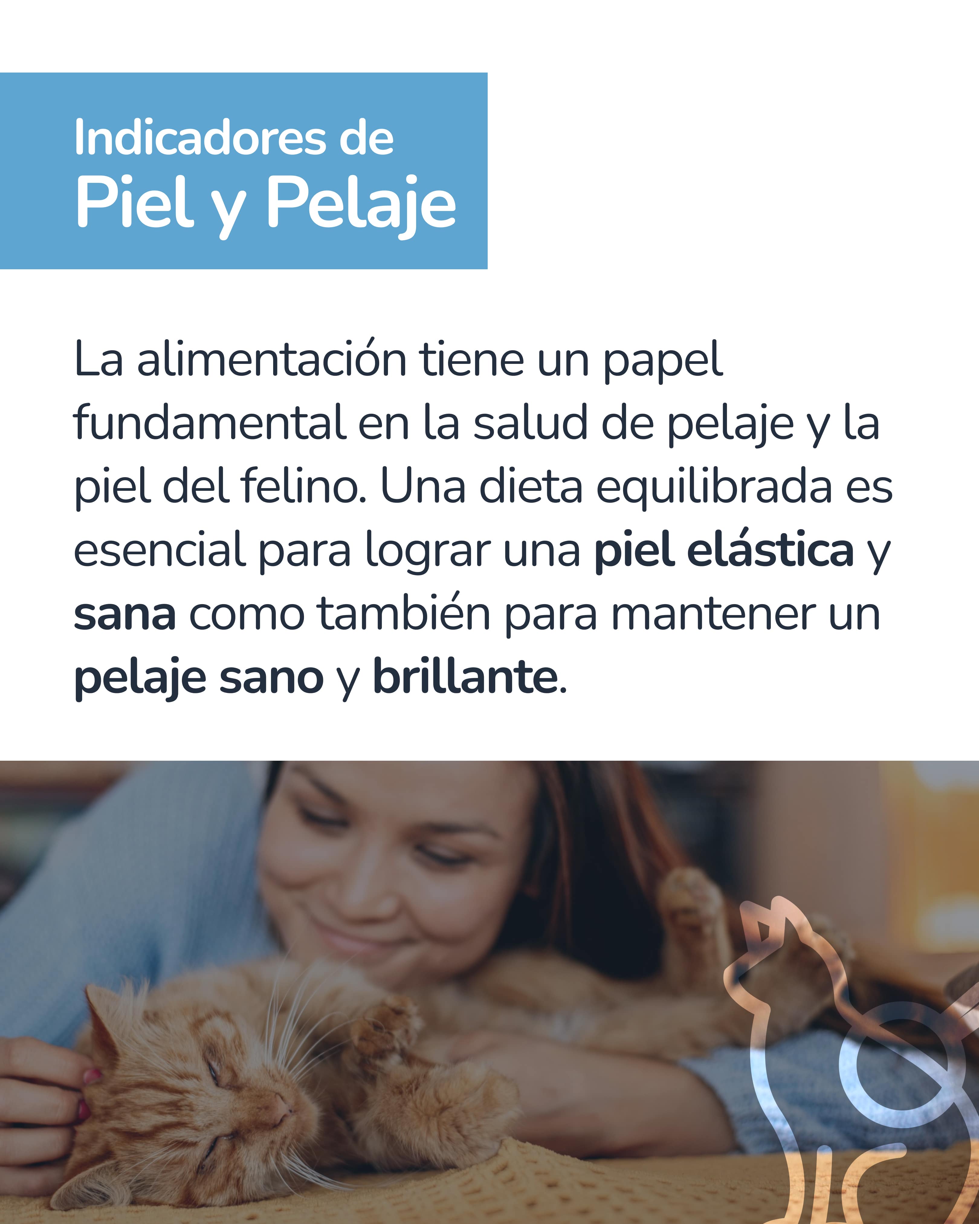 Indicador epigenético felino 6