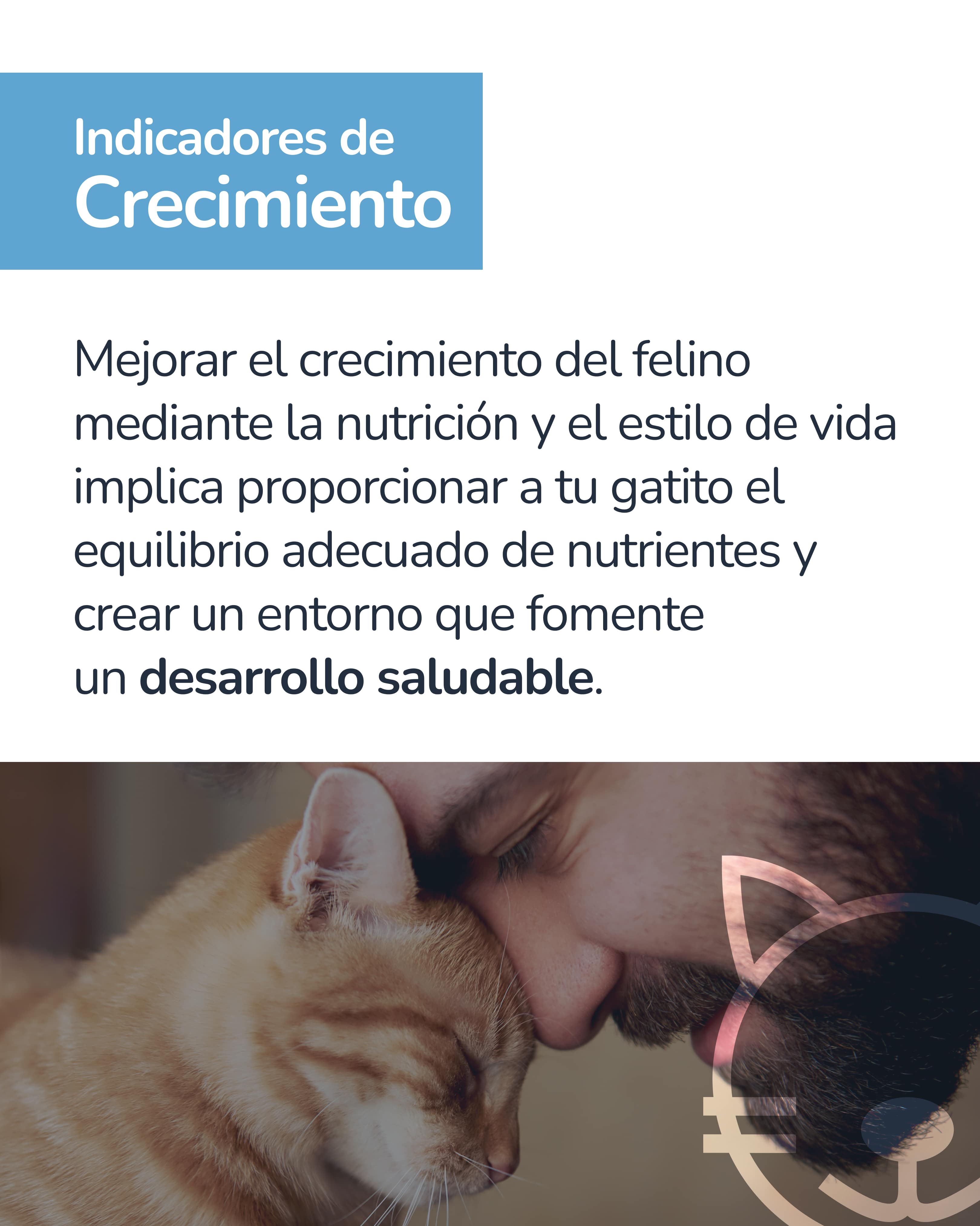 Indicador epigenético felino 7