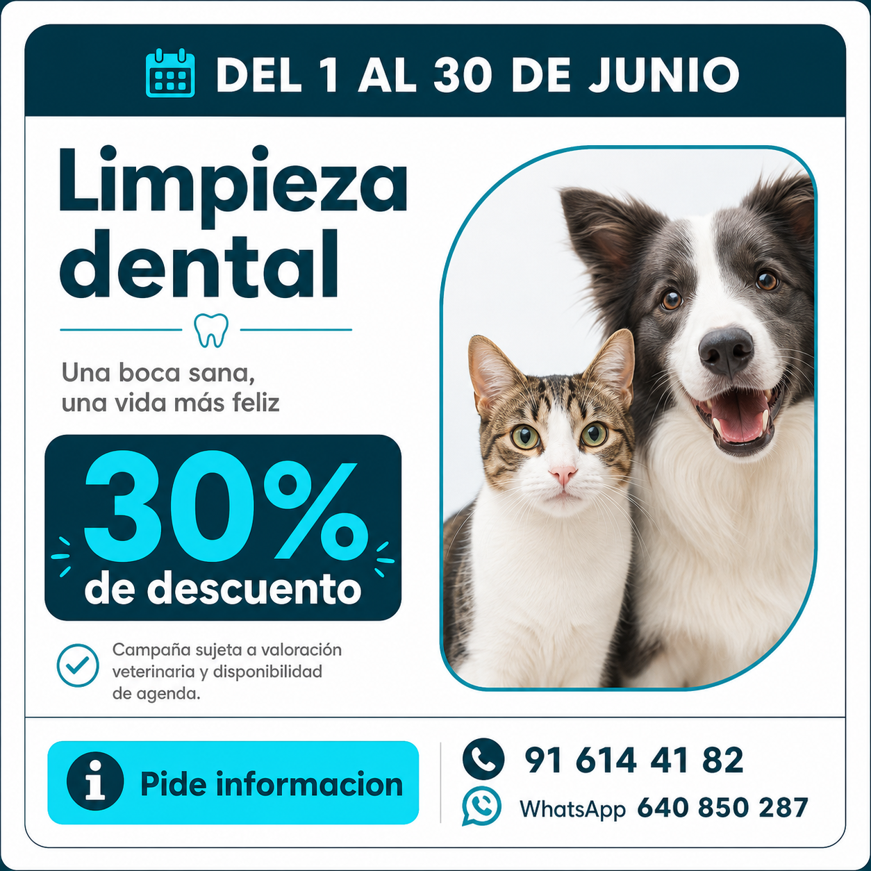 Campaña dental