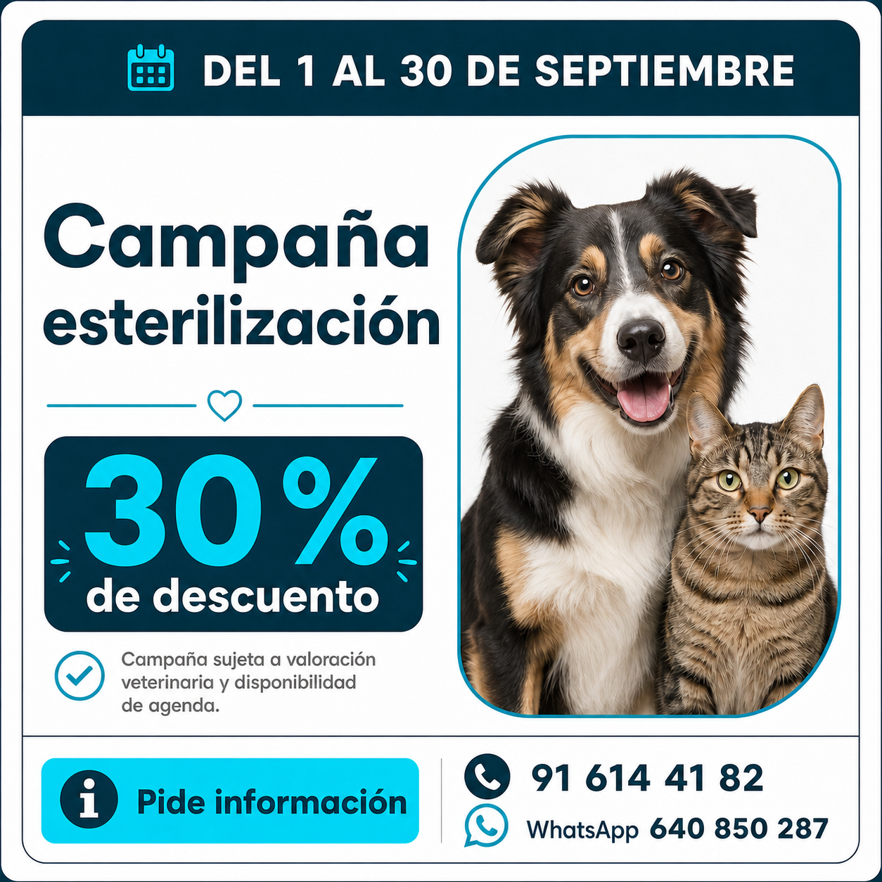 Campaña de esterilización durante septiembre con un 30 % de descuento