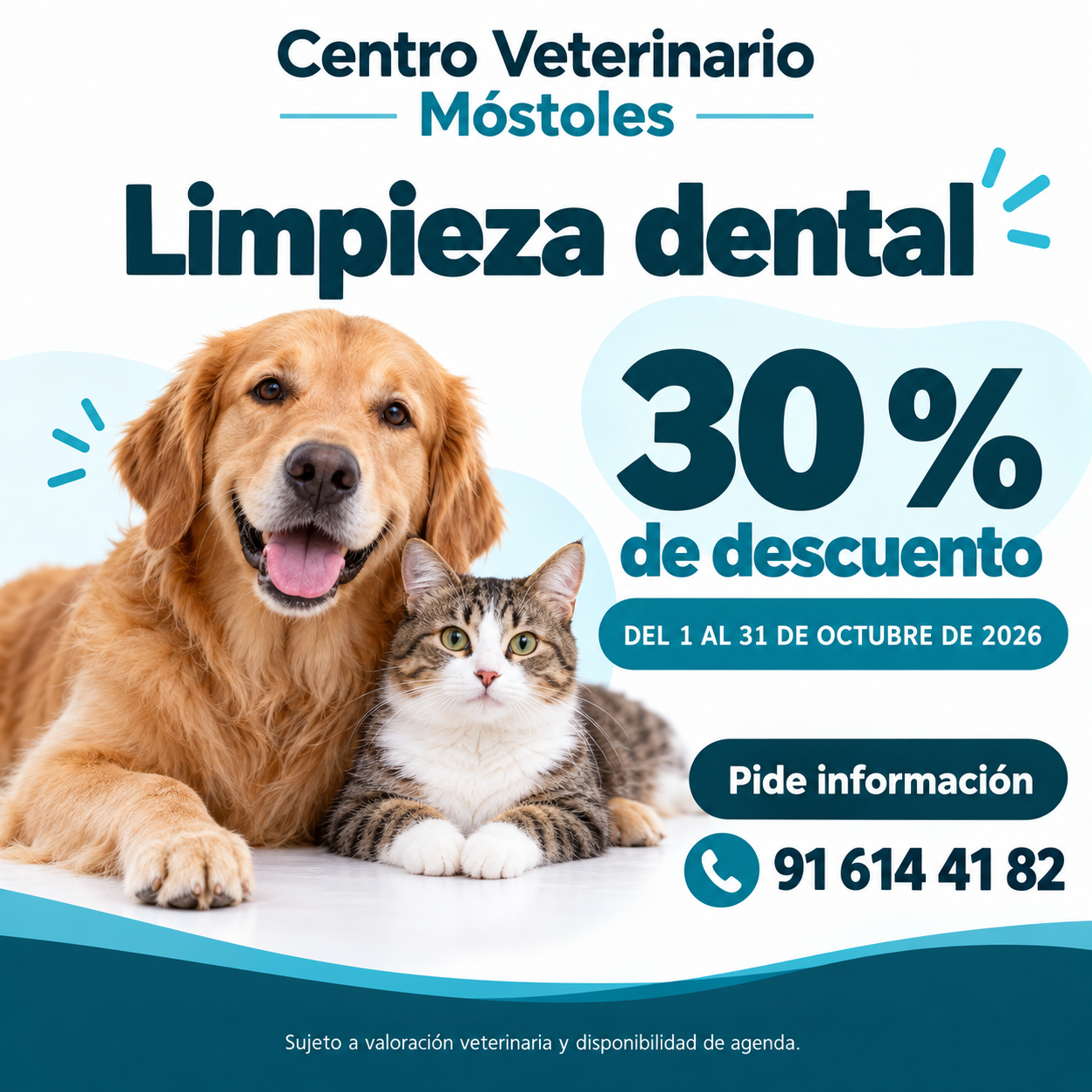 Campaña de limpieza dental del 1 al 31 de octubre de 2026: 30 % de descuento. Información en el 91 614 41 82.